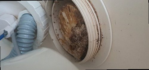 연제구 하수구막힘 연산동 하수구막힘 상가 변기 배관 처치 후 달라진 점